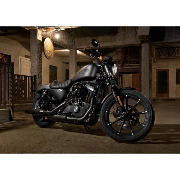 絵画風 壁紙ポスター (はがせるシール式) ハーレー ダビッドソン XL883N Iron スポーツ...