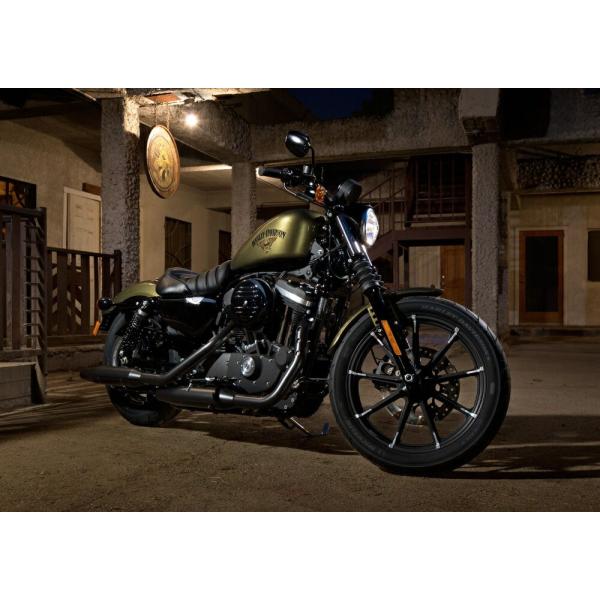 絵画風 壁紙ポスター (はがせるシール式) ハーレー ダビッドソン XL883N Iron スポーツ...