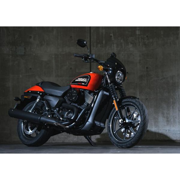 絵画風 壁紙ポスター (はがせるシール式) ハーレー ダビッドソン ストリート750 2016年 キ...