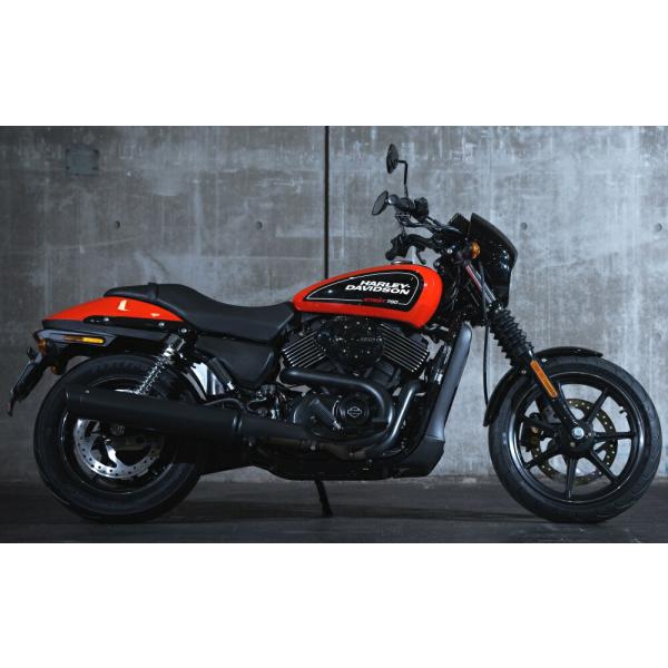 絵画風 壁紙ポスター (はがせるシール式) ハーレー ダビッドソン ストリート750 2016年 キ...