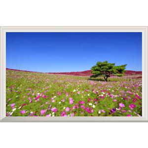 絵画風 壁紙ポスター (はがせるシール式) 富士山 富嶽三十六景 絵画風 壁紙ポスター (はがせるシール式) 富士山 富嶽三十六景