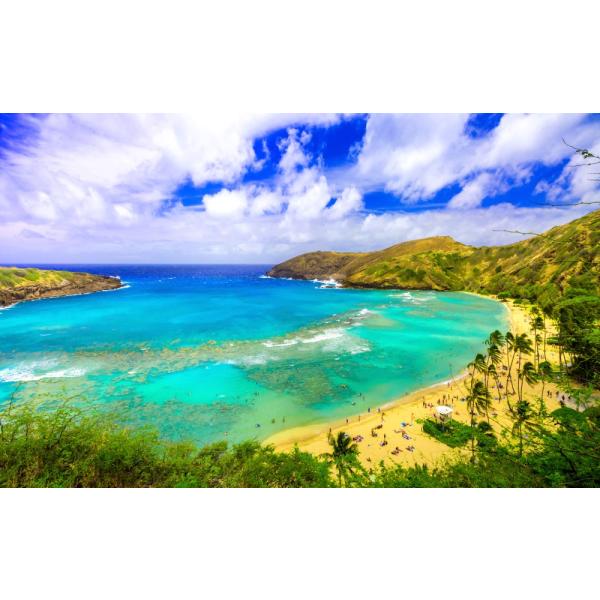 絵画風 壁紙ポスター (はがせるシール式) エメラルドのハナウマ・ベイと常夏の雲 ハワイ オアフ島 ...