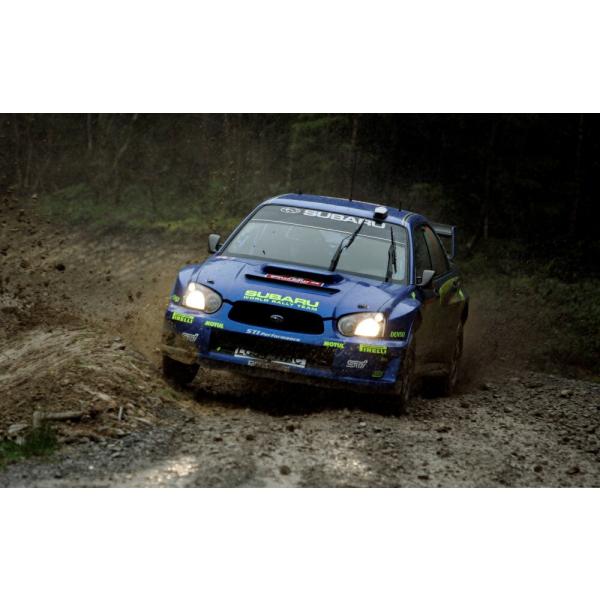 絵画風 壁紙ポスター (はがせるシール式) スバル インプレッサ WRX STI Performan...