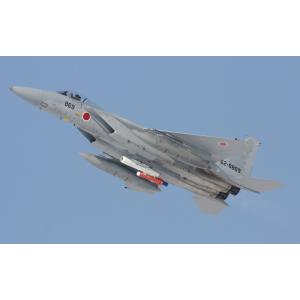 F15戦闘機ポスターの商品一覧 通販 Yahoo ショッピング