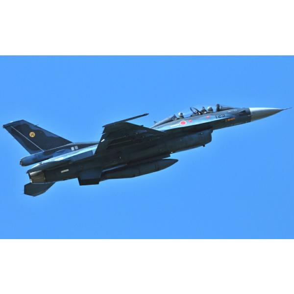 絵画風 壁紙ポスター (はがせるシール式) 航空自衛隊 F-2 支援戦闘機 F-2A バイパーゼロ ...