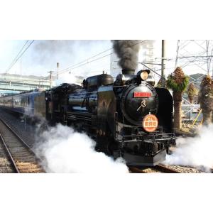 絵画風 壁紙ポスター (はがせるシール式) 蒸気機関車 SL D51 SL南房総