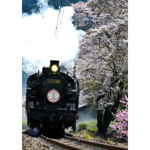 蒸気機関車 シールコレクションスタンプ　アマダ 蒸気機関車 シールコレクションスタンプ アマダ - メルカリ