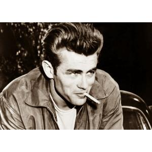 ジェームス・ディーン　JAMES DEAN　タペストリー 絵画風 壁紙ポスター (はがせるシール式) ジェームズ・ディーン James