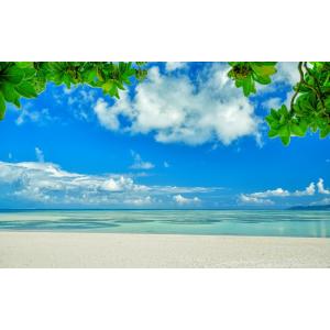 絵画風 壁紙ポスター (はがせるシール式) 沖縄 緑と空と海と白浜 竹富島コンドイ浜 ビーチ キャラクロ M-OKN-007W2(ワイド版 603mm×376mm)＜日本製＞