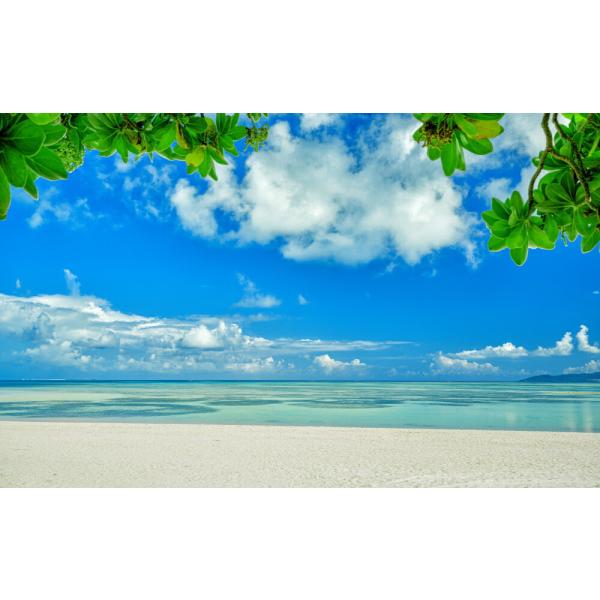 絵画風 壁紙ポスター (はがせるシール式) 沖縄 緑と空と海と白浜 竹富島コンドイ浜 ビーチ キャラ...