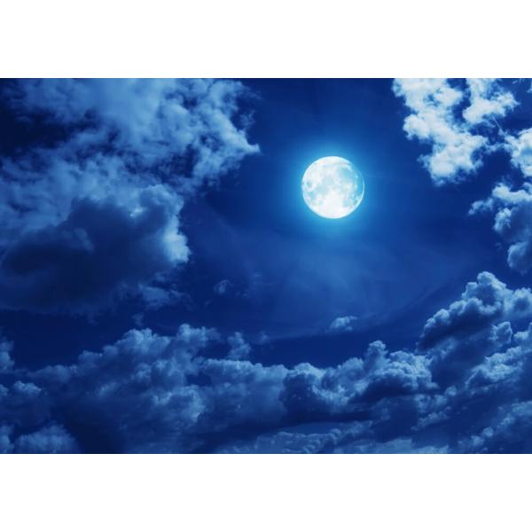 絵画風 壁紙ポスター (はがせるシール式) 月 スーパームーン Super Luna 満月の夜 天体...