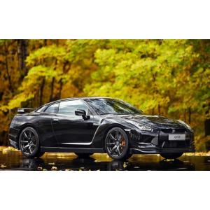 絵画風 壁紙ポスター (はがせるシール式) 日産 GT-R R35 中期型 2012年 with 紅...