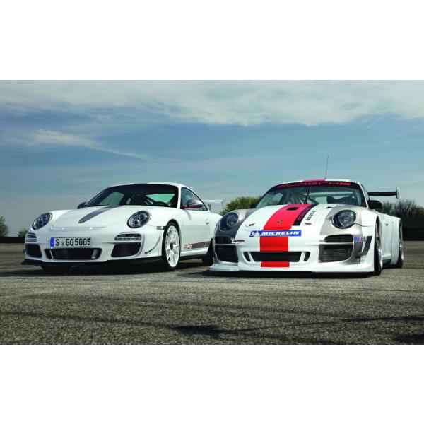 絵画風 壁紙ポスター (はがせるシール式) ポルシェ 911 GT3 RS 4.0 &amp; Cupカー ...