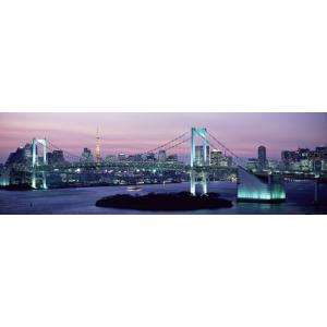 絵画風 壁紙ポスター (はがせるシール式) レインボーブリッジ 夕暮れ 夜景 東京タワー キャラクロ...