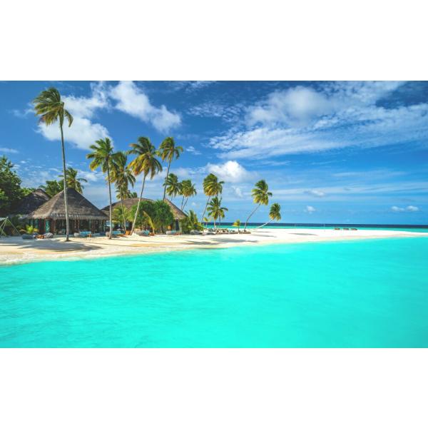 絵画風 壁紙ポスター (はがせるシール式) モルディブ トロピカルコースト エメラルドグリーン キャ...