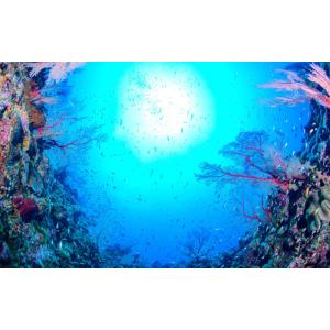 レアルインターショップ 癒しの海景色 まだ見たことのない世界 Yahoo ショッピング