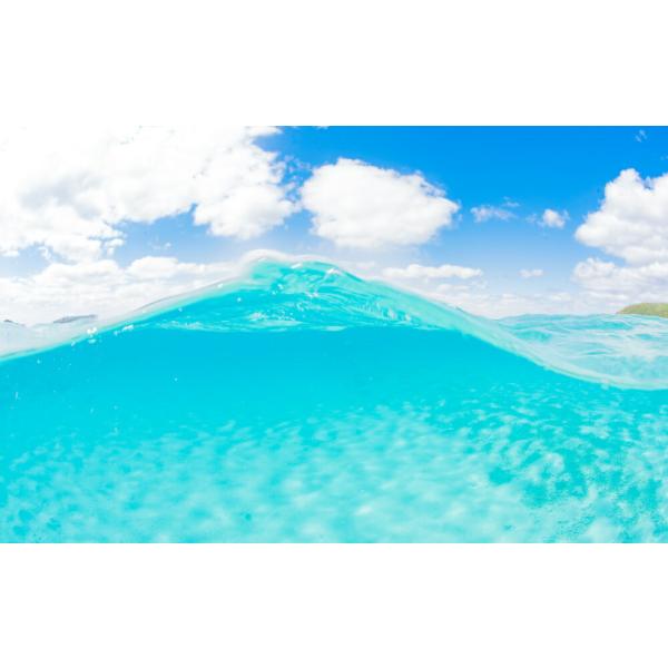 絵画風 壁紙ポスター (はがせるシール式) ケラマブルー 沖縄県慶良間諸島 座間味島 -水中写真家 ...