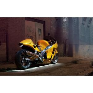 アートポスター 絵画風 壁紙ポスター (はがせるシール式) カワサキ Ninja ZX-14R 2015