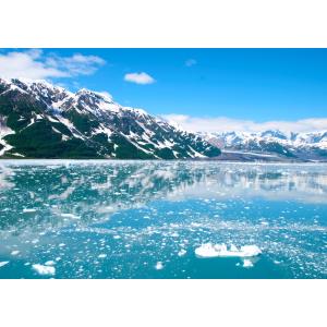 アラスカ氷河の氷の商品一覧 通販 Yahoo ショッピング
