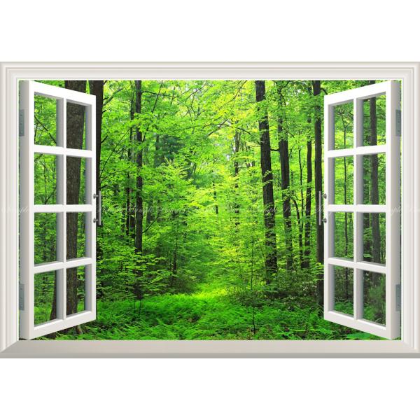 絵画風 壁紙ポスター (はがせるシール式) 森林 森林浴 緑 目の保養 気分転換 癒し 【窓仕様】 ...
