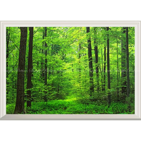 絵画風 壁紙ポスター (はがせるシール式) 森林 森林浴 緑 目の保養【扉なし窓仕様】 キャラクロ ...