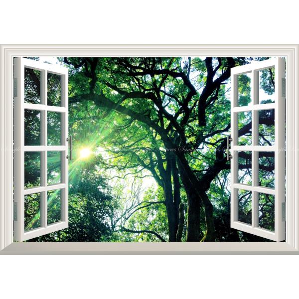 絵画風 壁紙ポスター (はがせるシール式) 森林 森林浴 緑 陽射し 癒し 【窓仕様】 キャラクロ ...