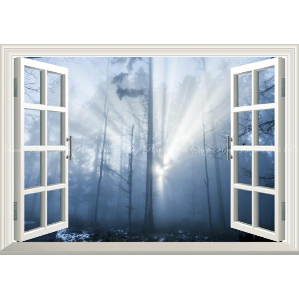 絵画風 壁紙ポスター (はがせるシール式) 冬の森 雪化粧 森林 朝 陽射し 霧 癒し 爽快 【窓仕...
