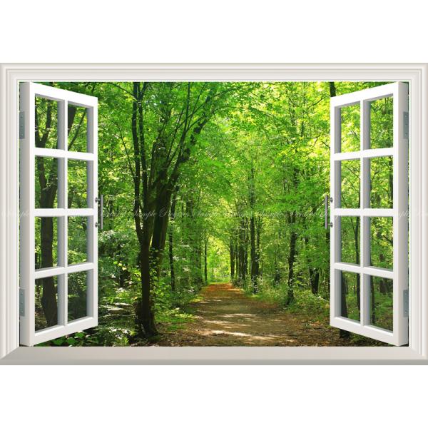 絵画風 壁紙ポスター (はがせるシール式) 森林と小道 森林浴 新緑 散歩道 目の保養 癒し 【窓仕...