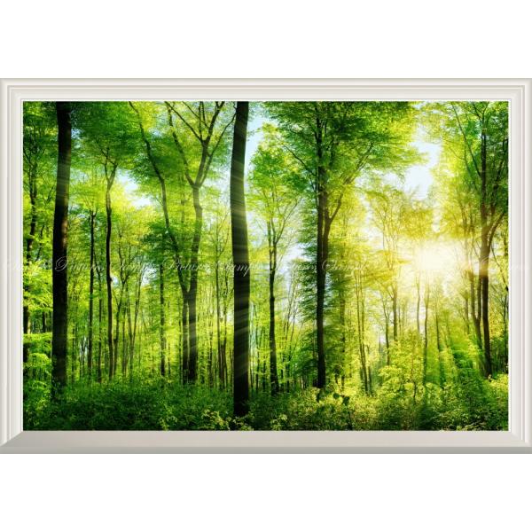 絵画風 壁紙ポスター (はがせるシール式) 森林 森林浴 陽射し 緑の森の木々 癒し【扉なし窓仕様】...