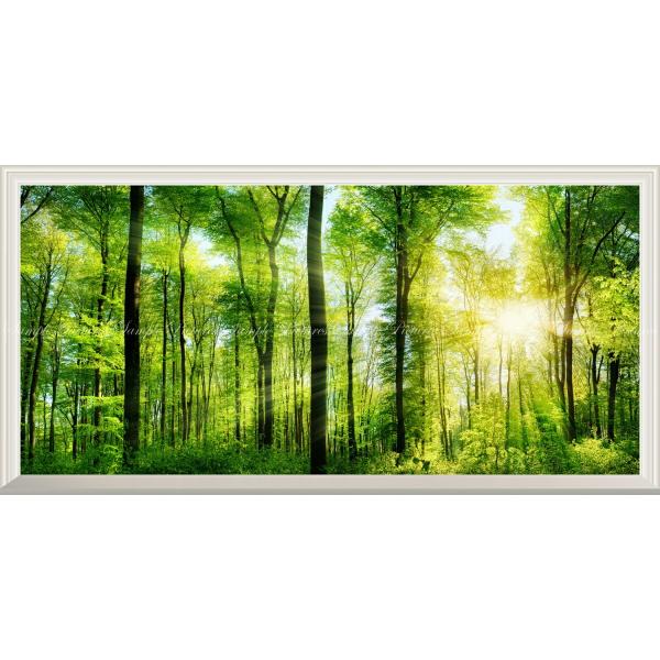 絵画風 壁紙ポスター (はがせるシール式) 森林 森林浴 陽射し 緑の森の木々【扉なし窓仕様】 キャ...