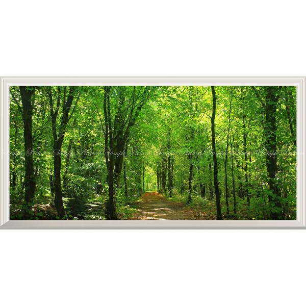 絵画風 壁紙ポスター (はがせるシール式) 森林と小道 森林浴 目の保養 癒し【扉なし窓仕様】 キャ...