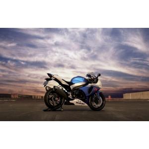 絵画風 壁紙ポスター (はがせるシール式) スズキ GSX-R 1000(09-11) R1000 ...