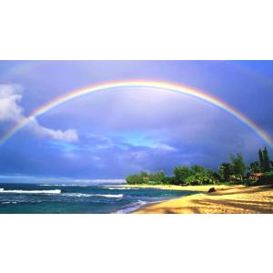 絵画風 壁紙ポスター (はがせるシール式) 南国のビーチと虹のハーモニー ハワイ 波 虹 レインボー...