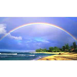 絵画風 壁紙ポスター (はがせるシール式) 南国のビーチと虹のハーモニー ハワイ 波 虹 レインボー...