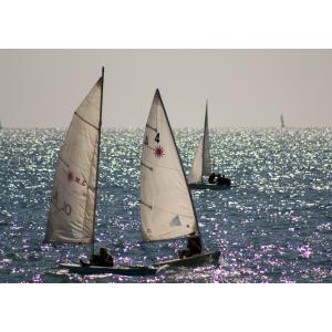 ボートレース ポスターの商品一覧 通販 Yahoo ショッピング