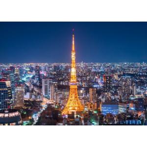 絵画風 壁紙ポスター (はがせるシール式) 東京タワー 夜景 キャラクロ TKT-005A2(A2版 594mm×420mm)＜日本製＞