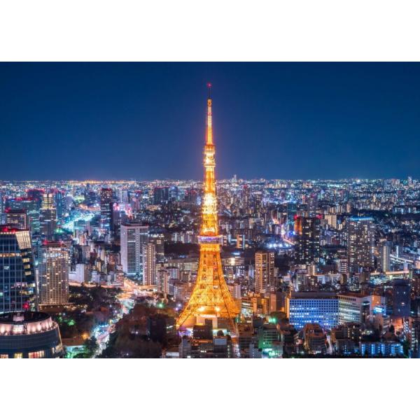 絵画風 壁紙ポスター (はがせるシール式) 東京タワー 夜景 キャラクロ TKT-005A2(A2版...