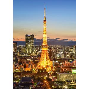 夜景 東京タワーの商品一覧 通販 Yahoo ショッピング