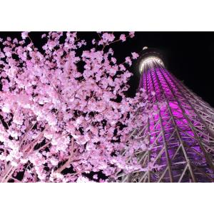 東京夜景ポスターの商品一覧 通販 Yahoo ショッピング