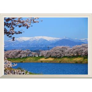 無事 安川眞慈 YSE-103 額入アート 富士山 赤富士 地蔵 和風 縁起物