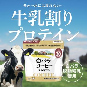 LINE新規登録で最大1000円オフ シェイカ...の詳細画像3