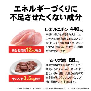 LINE新規登録で最大1000円オフ サプリメ...の詳細画像3