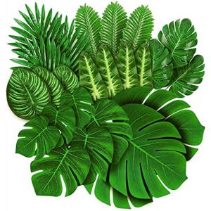 ハワイ 観葉植物 観葉植物 の商品一覧 花 ガーデニング 通販 Yahoo ショッピング