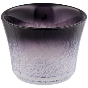 アデリア 津軽びいどろ 盃 おちょこ 75ml あおもりの肴