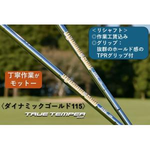 トゥルーテンパー ダイナミックゴールド ミッド115 (Dynamic Gold MID