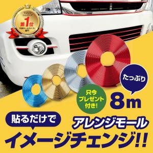車 外装 モール 約8m バンパー ドア グリル ダクト フィン ミラー ガード ボディ カー 用品