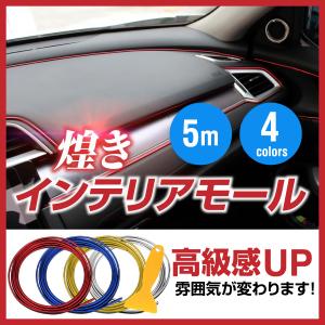 車 メッキモール インテリア 内装 イメージチェンジ  パネル 隙間アレンジ ドレスアップ 4カラー 5m