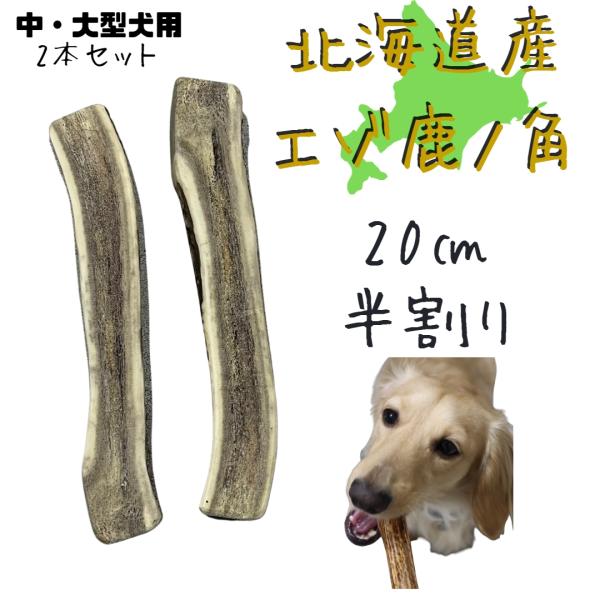 北海道産 鹿角 20cm 半割り 2本 犬 おもちゃ 犬用品 犬用 ペットグッズ ペット デンタルケ...
