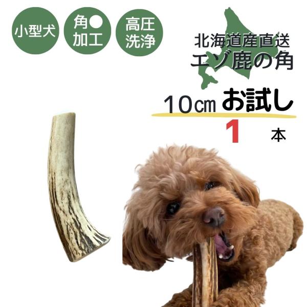 北海道産 鹿角 お試し 1本 犬 おもちゃ 犬用品 犬用 ペットグッズ ペット デンタルケア 歯みが...