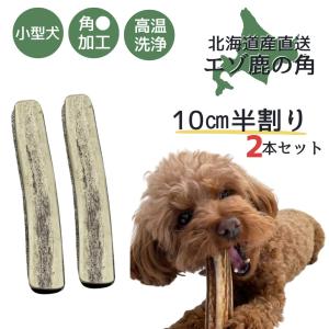 北海道産 鹿角 お試し 1本 犬 おもちゃ 犬用品 犬用 ペットグッズ